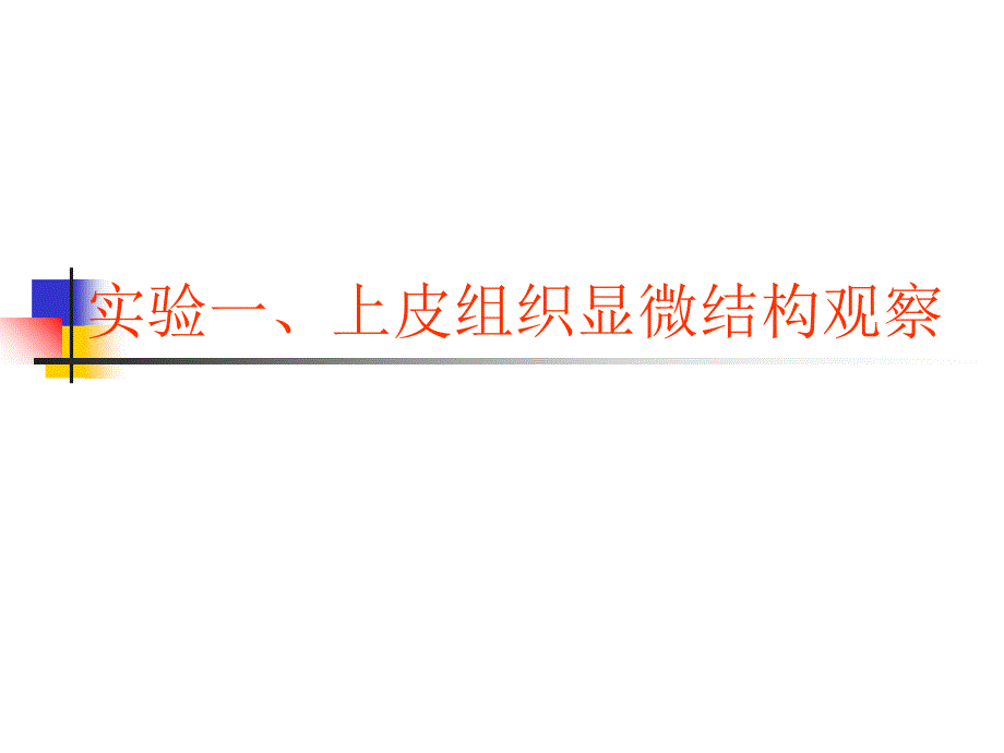 实验一上皮组织显微结构观察_第1页