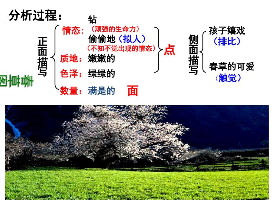 思维导图课堂PPT_第3页