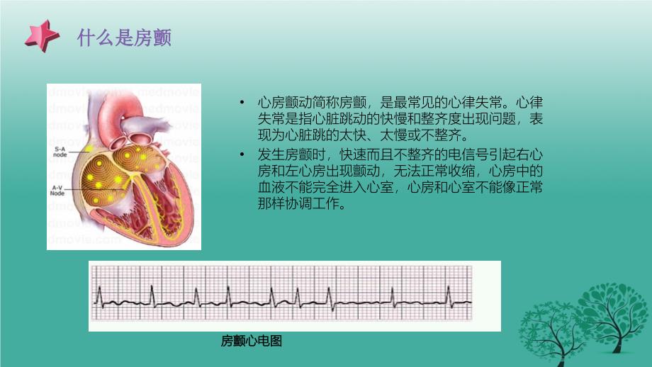 正确认识房颤课件_第4页