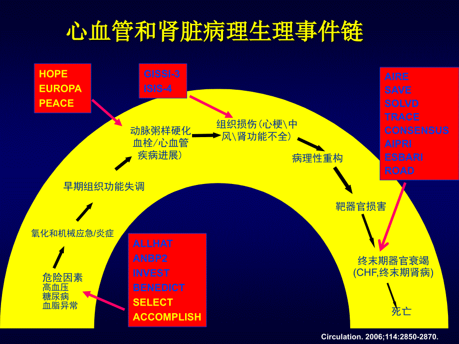 高血压病治疗新策略SELECT优化治疗_第4页