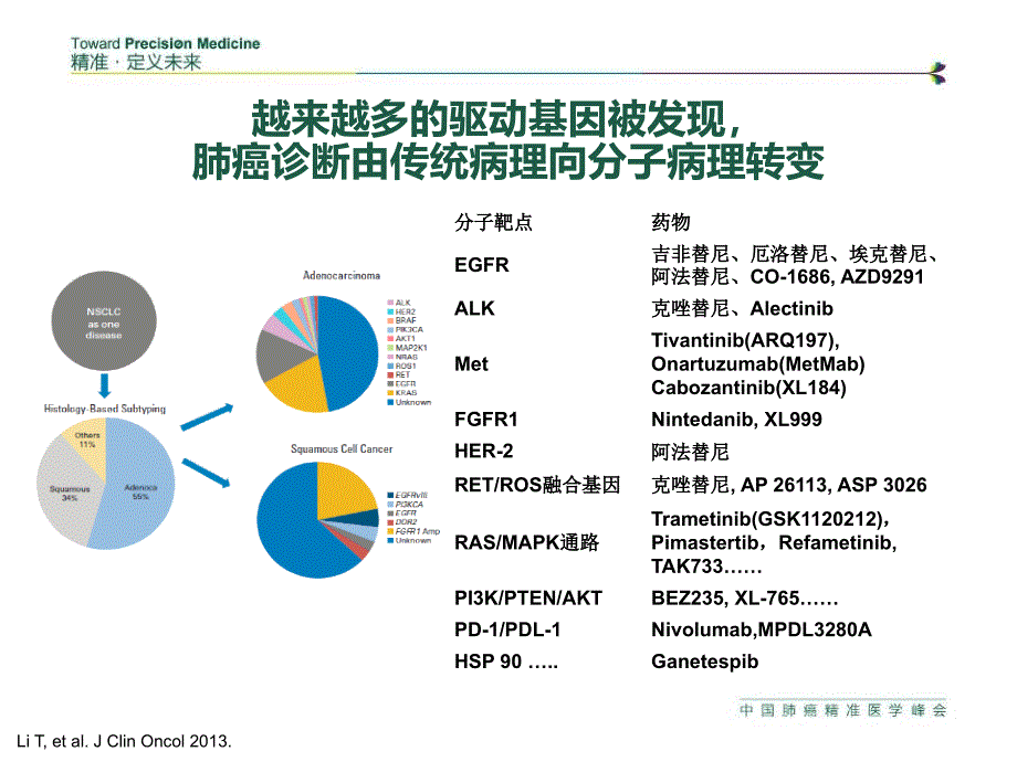 晚期非小细胞肺癌诊疗现状_第4页