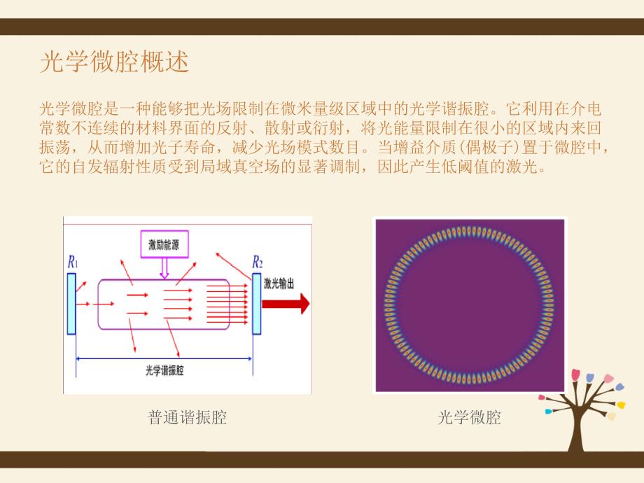 光学微腔特性研究及其应用_第2页