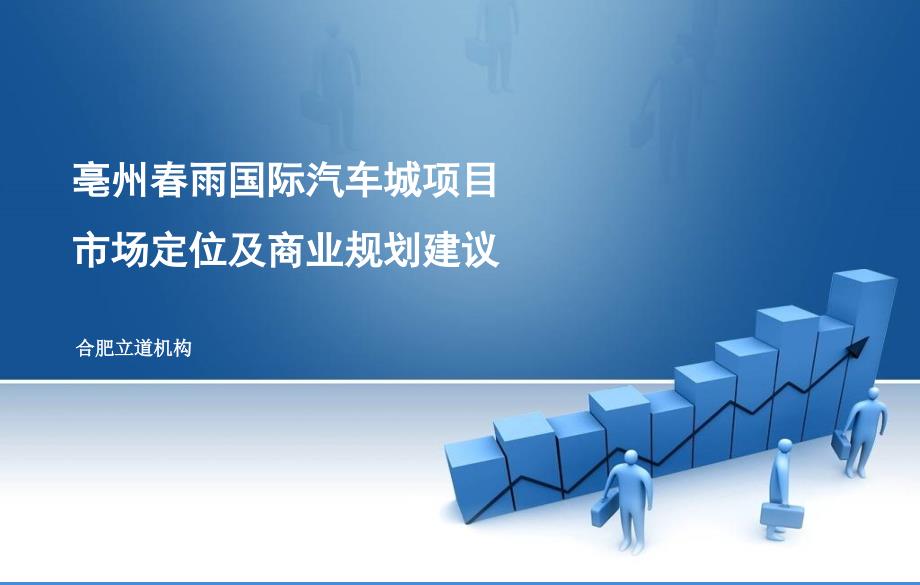 亳州雨国际汽车城市场定位及商业规划建议94p_第1页