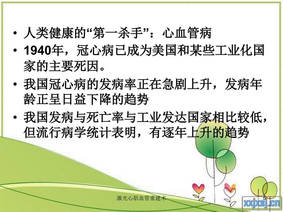 激光心肌血管重建术课件_第5页