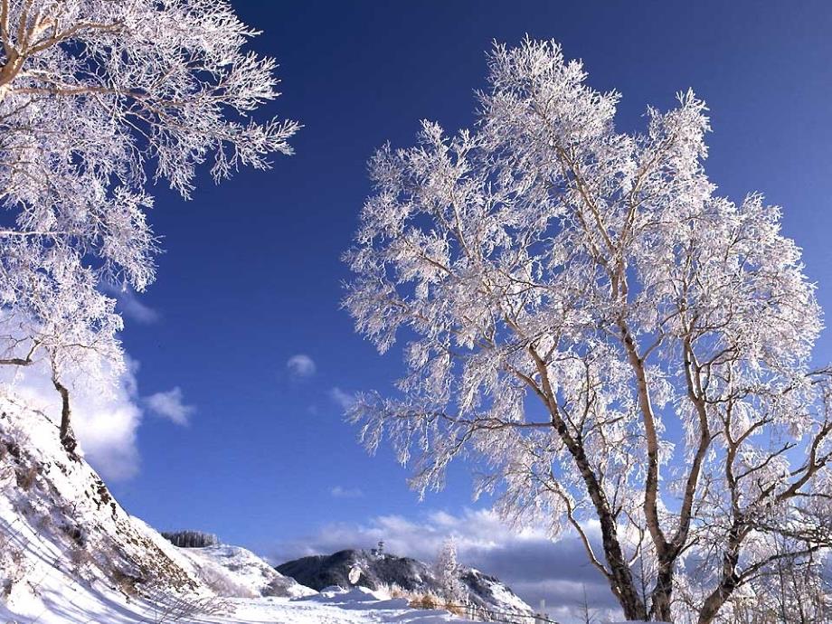 雪花带来冬天的梦_课件_第4页