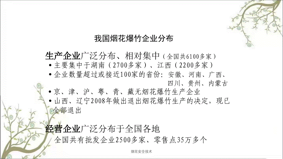 烟花安全技术PPT课件_第4页