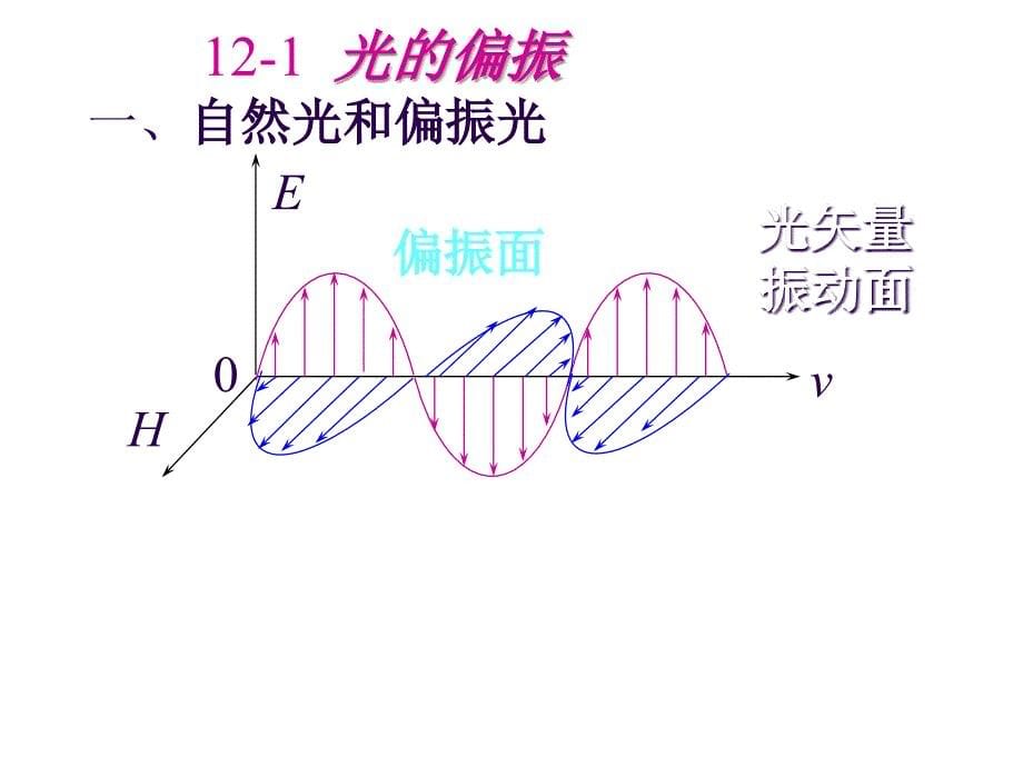 普通物理学教学课件PPT光的偏振状态_第5页