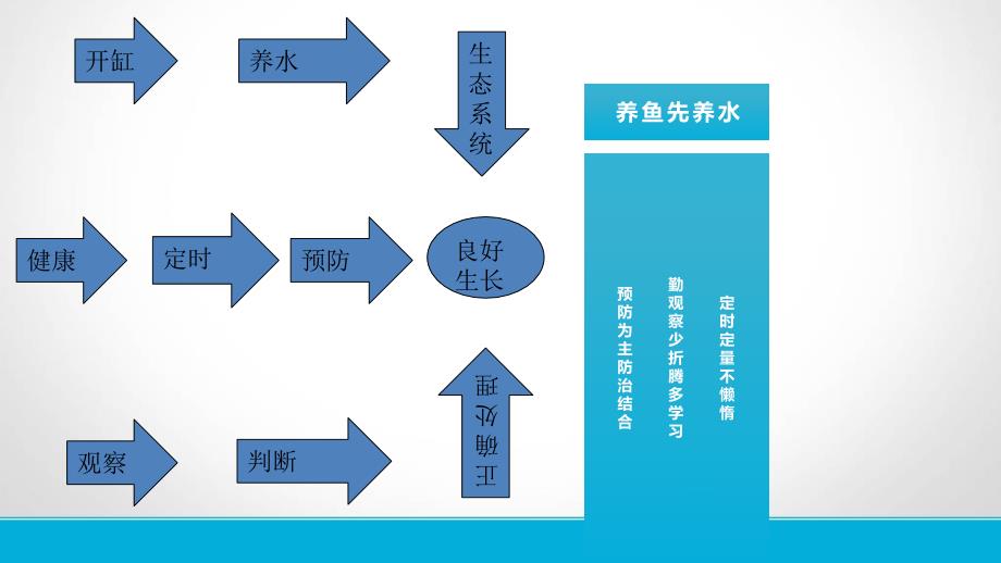 观赏鱼疾病诊断与防治_第2页