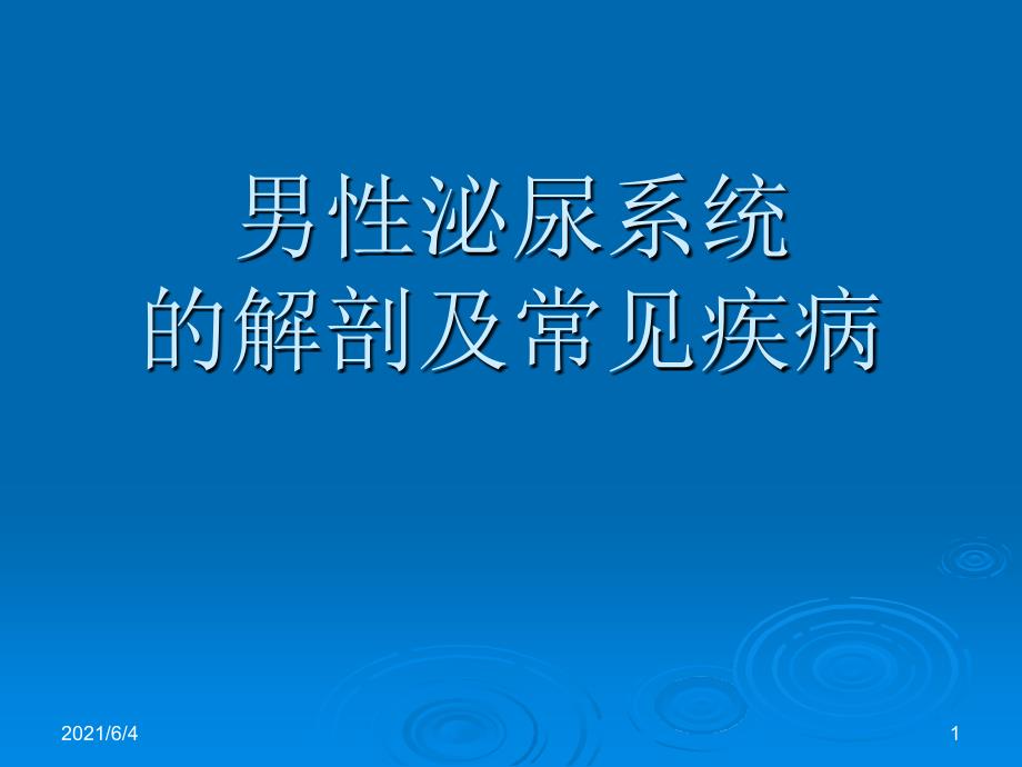 男性泌尿系统的解剖及常见病_第1页