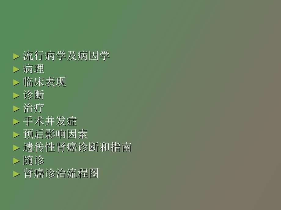 肾细胞癌诊断治疗指南_第2页