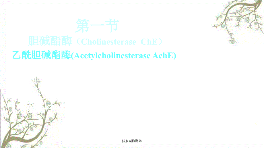 抗胆碱酯酶药课件_第3页