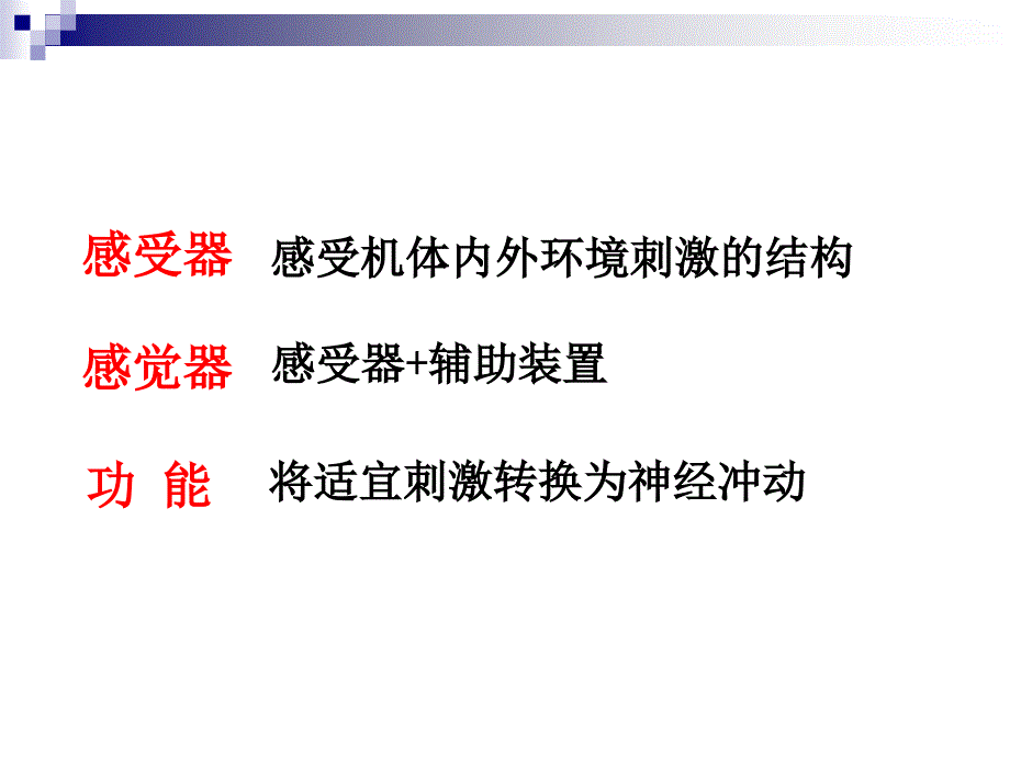 系统解剖学教学课件：眼_第2页