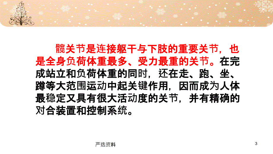 髋关节运动学（行业荟萃）_第3页