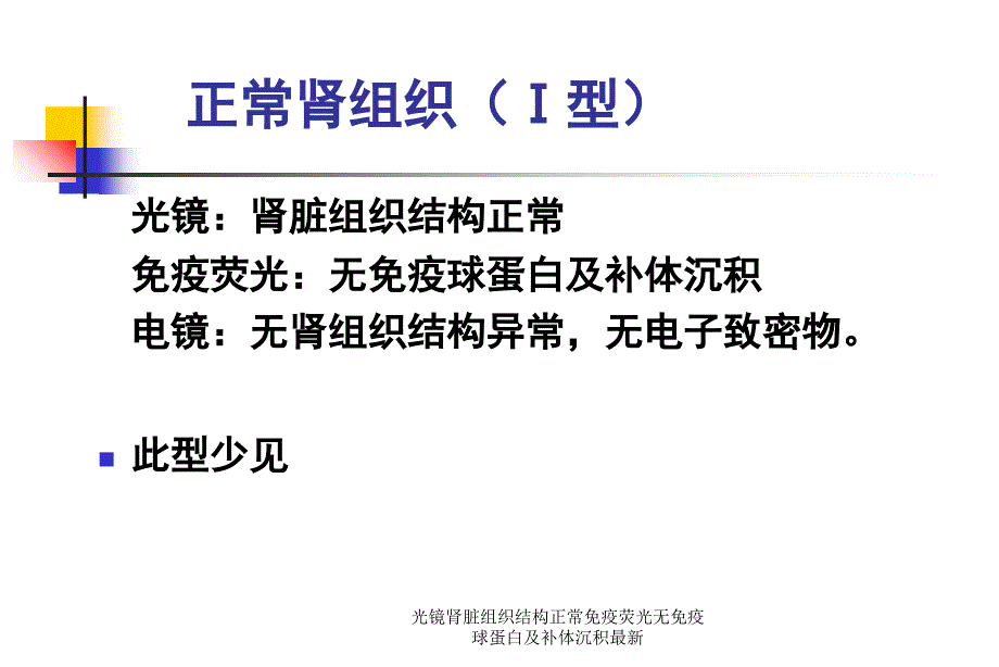 光镜肾脏组织结构正常免疫荧光无免疫球蛋白及补体沉积范文课件_第1页