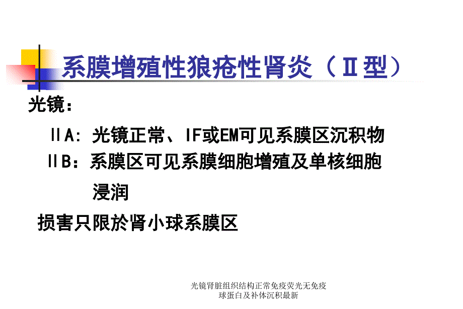 光镜肾脏组织结构正常免疫荧光无免疫球蛋白及补体沉积范文课件_第2页