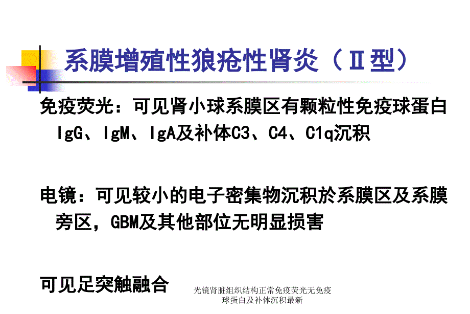 光镜肾脏组织结构正常免疫荧光无免疫球蛋白及补体沉积范文课件_第3页