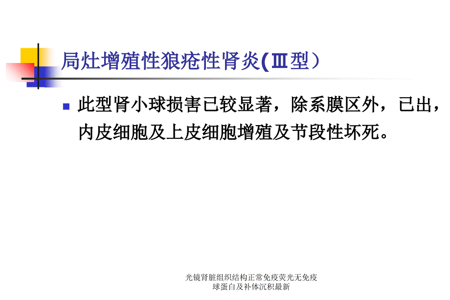 光镜肾脏组织结构正常免疫荧光无免疫球蛋白及补体沉积范文课件_第4页