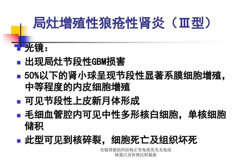 光镜肾脏组织结构正常免疫荧光无免疫球蛋白及补体沉积范文课件_第5页