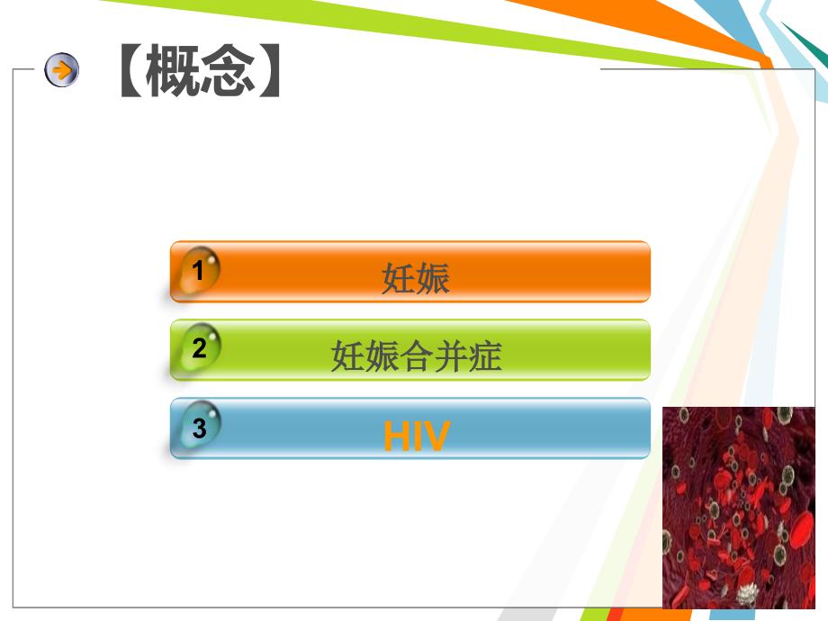 妊娠合并HIV.ppt_第2页