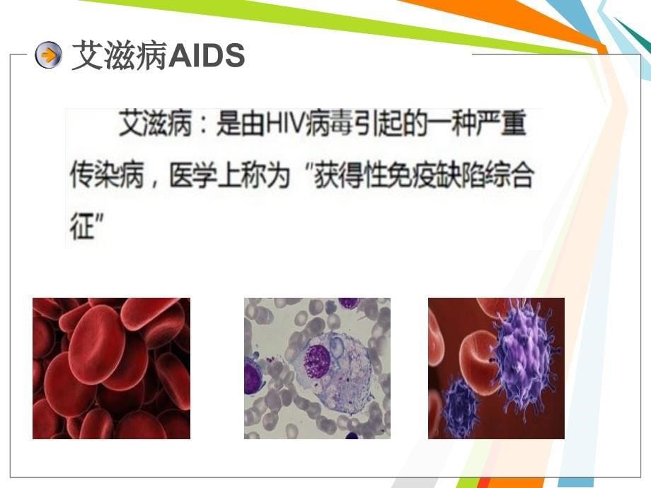 妊娠合并HIV.ppt_第5页