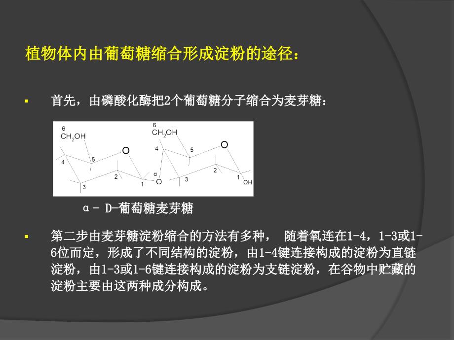 第二章谷物淀粉_第2页