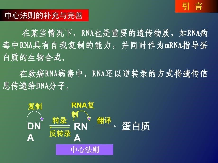 蛋白质生物合成与降解_第5页