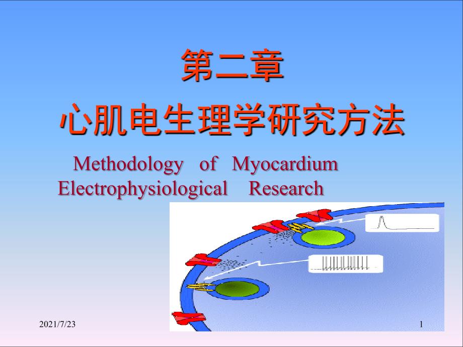 电生理研究方法PPT课件_第1页