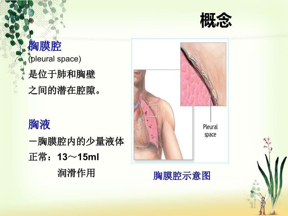 胸腔积液患者的护理课件.ppt_第5页