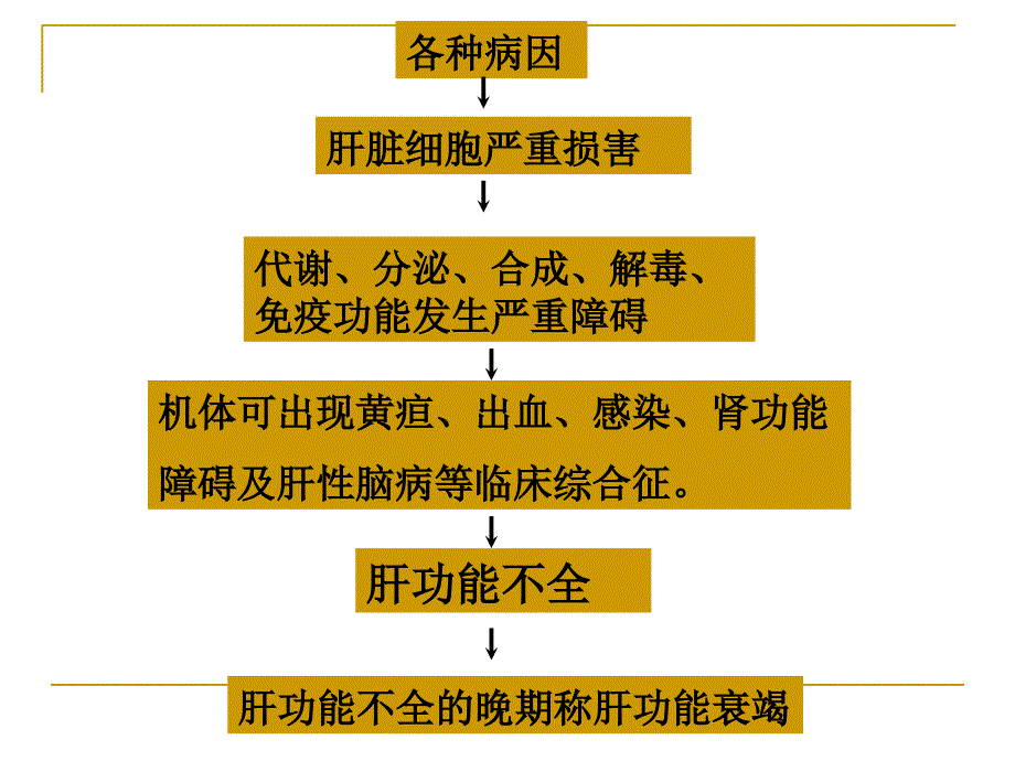 肝功能不全(药学)课件_第2页