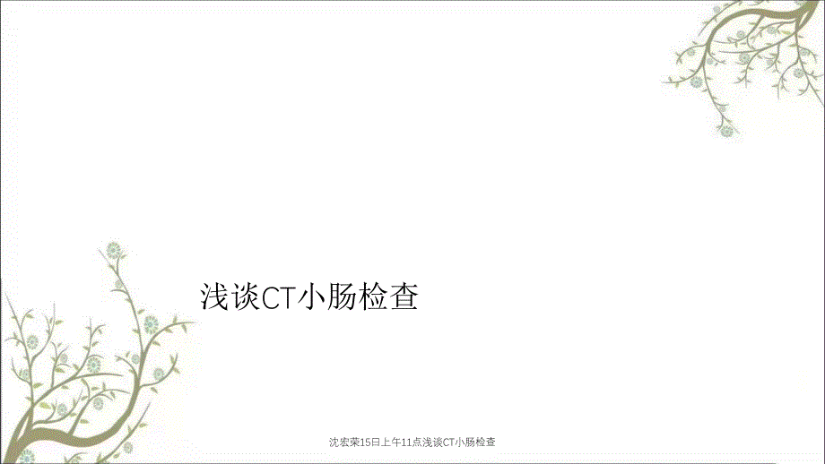 沈宏荣15日上午11点浅谈CT小肠检查_第1页