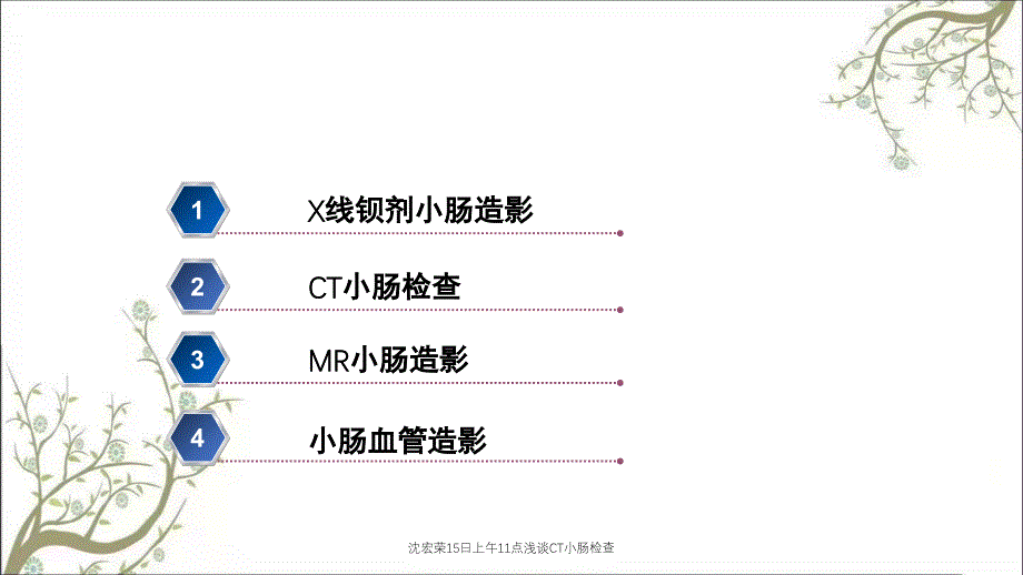 沈宏荣15日上午11点浅谈CT小肠检查_第4页