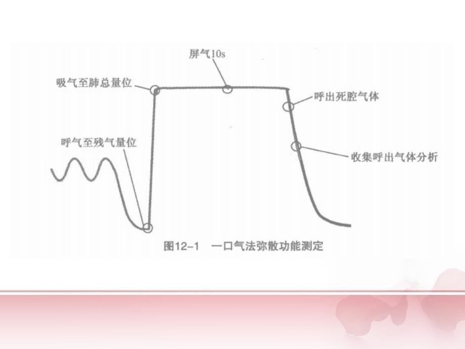 肺弥散功能检查ppt课件_第5页