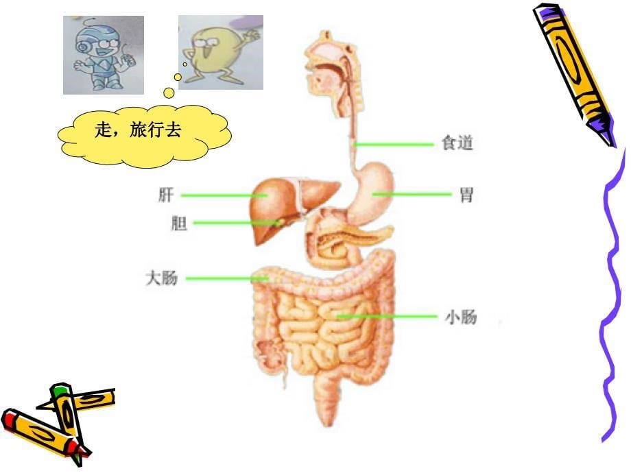 食物的旅行上_第5页