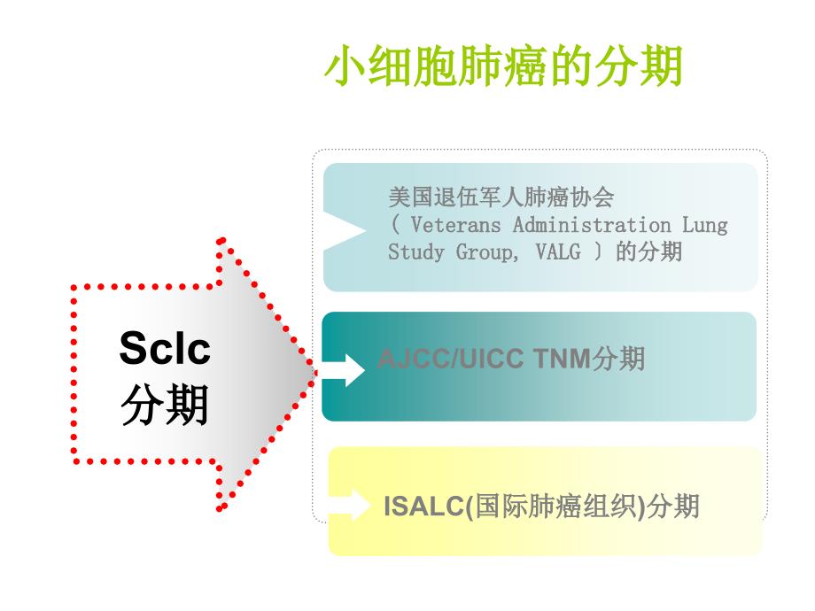 小细胞肺癌热点及争议_第3页