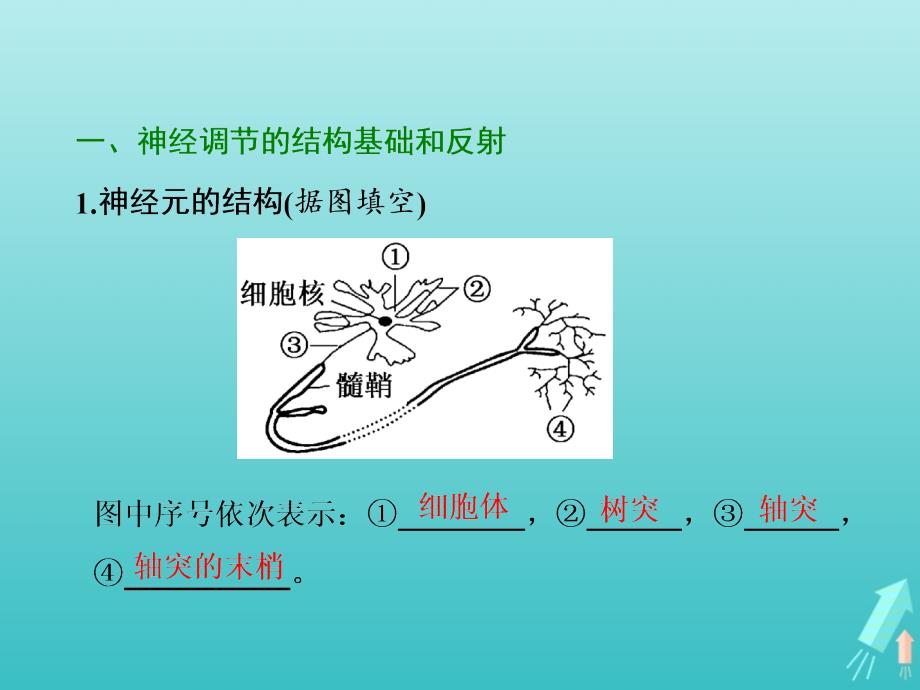 高中生物第2章第1节第1课时通过神经系统的调节一课件新人教必修_第3页