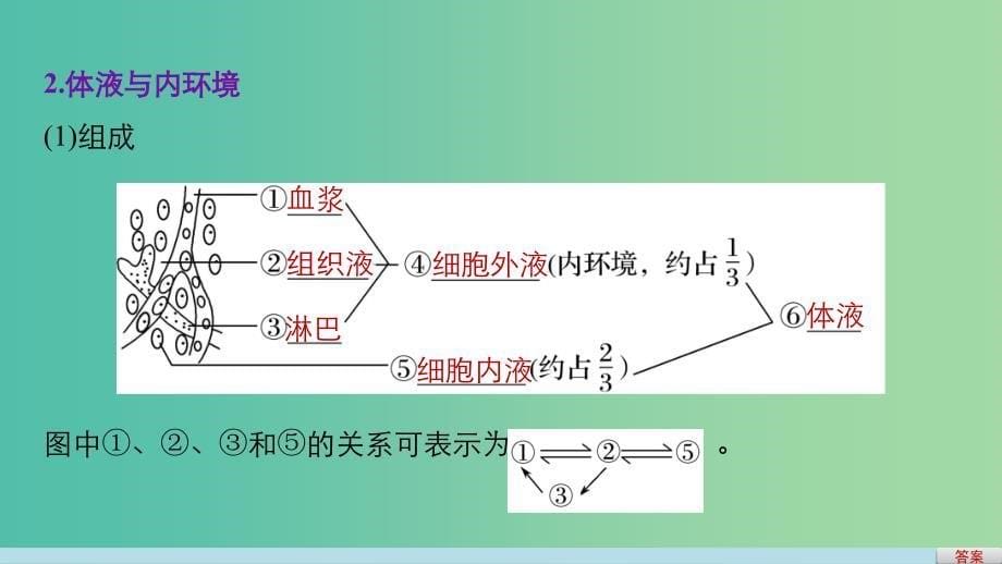 高考生物二轮复习 专题十九 动物生命活动的调节课件.ppt_第5页