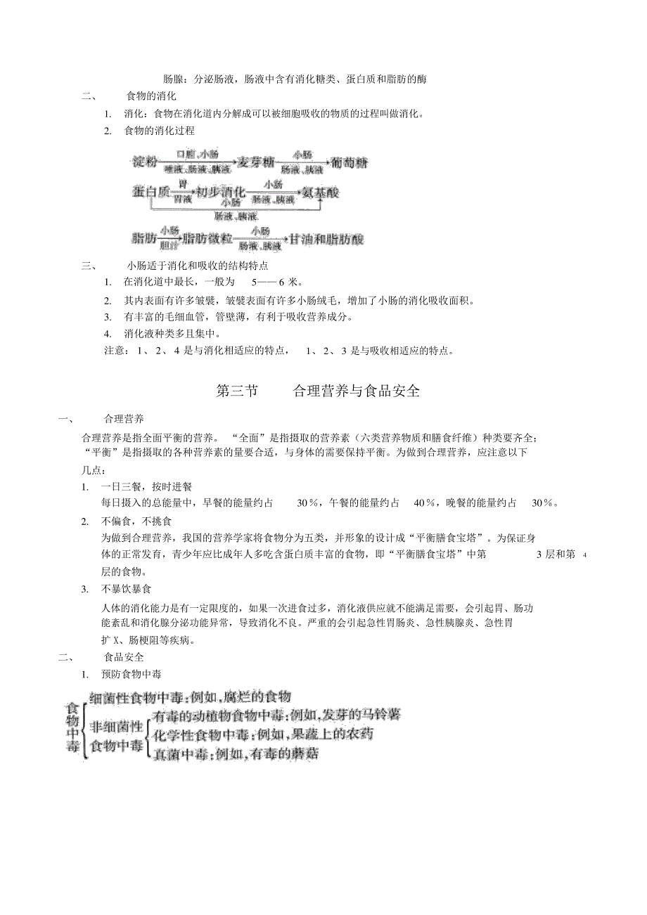 七年级生物下册人教版《人体的营养》_第3页