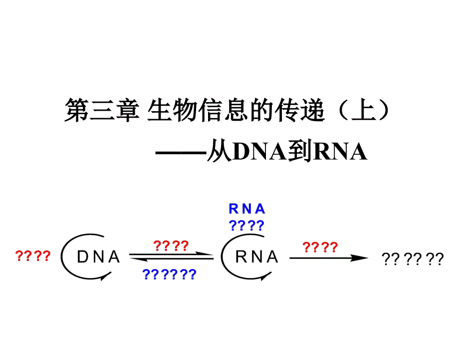 现代分子生物学生物信息的传递上-复制_第1页