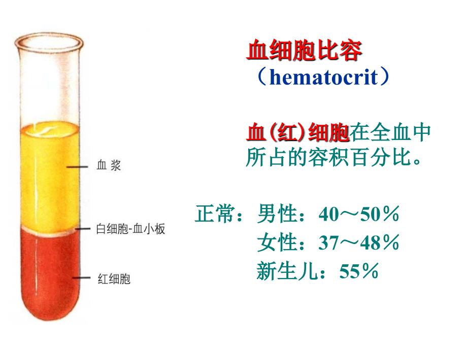 人体解剖生理学第四章血液_第4页