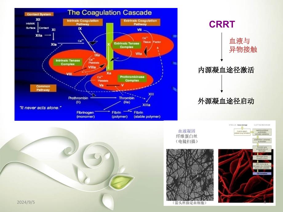 出凝血管理课堂PPT_第4页