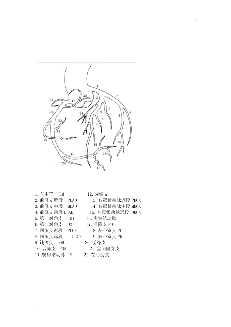 冠状动脉血管分布_第1页