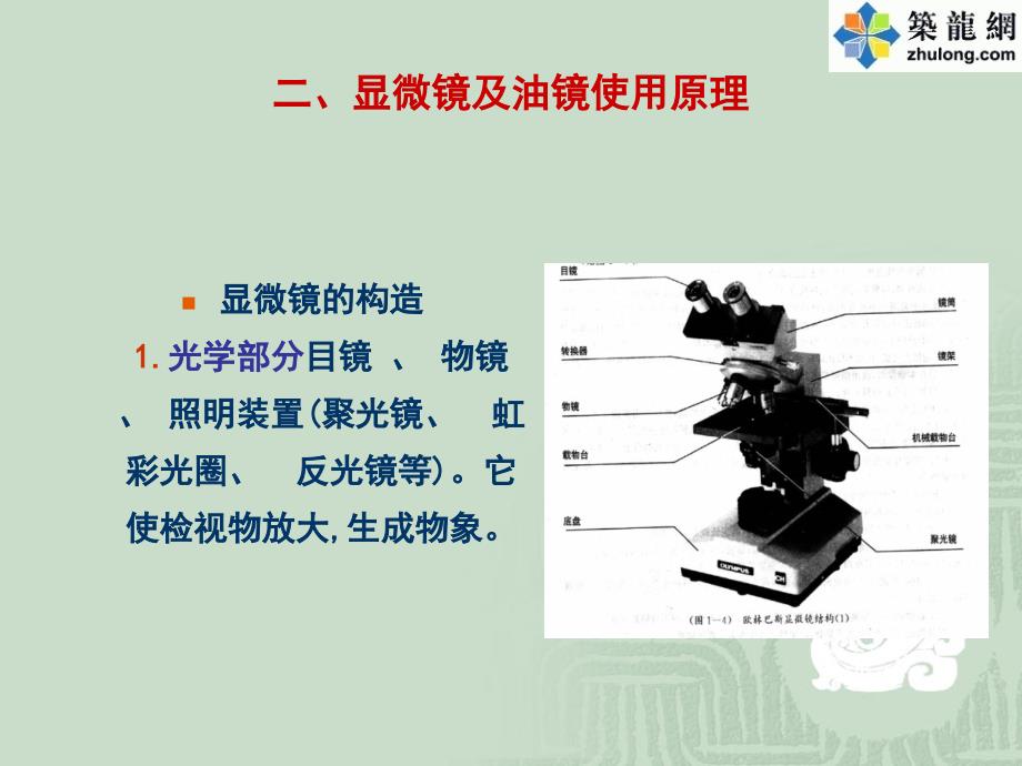 实验三_显微镜油镜的使用及细菌形态观察PPT课件02_第3页