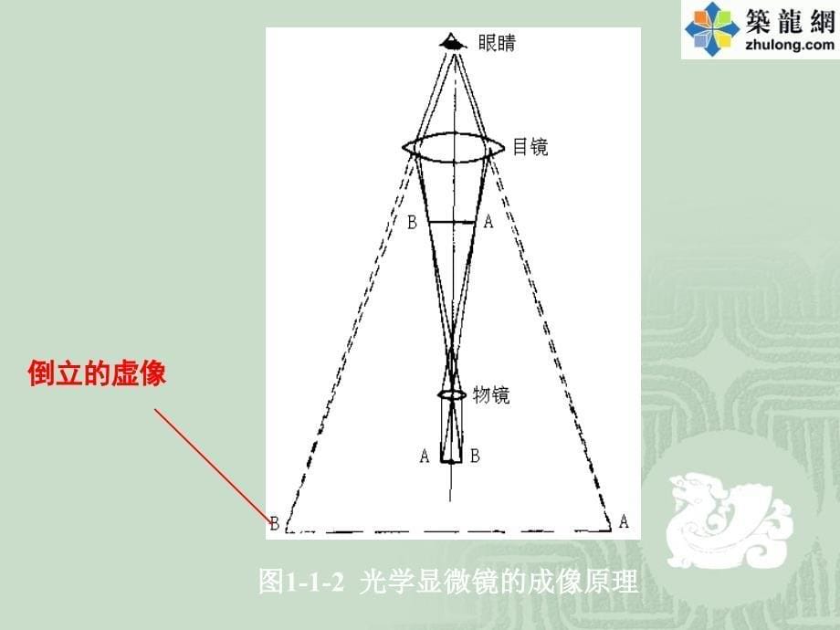 实验三_显微镜油镜的使用及细菌形态观察PPT课件02_第5页