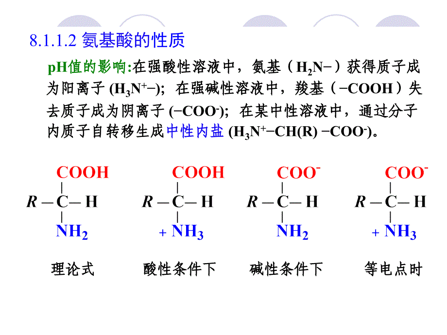 大学化学第08章-生命化学基础_第4页