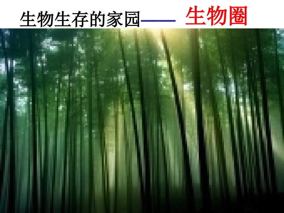 生物生存的家园—生物圈_第1页