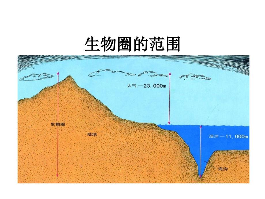 生物生存的家园—生物圈_第3页