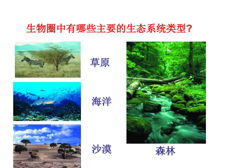 生物生存的家园—生物圈_第4页