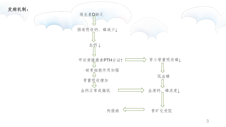 佝偻病PPT精品文档_第3页