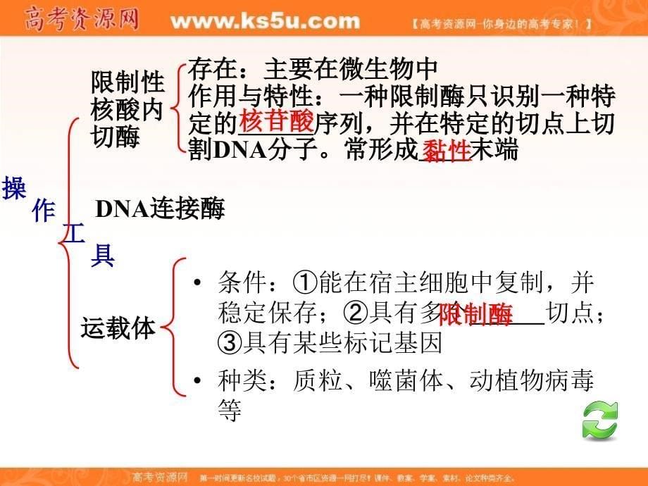 高考生物第一轮总复习 第28讲基因工程课件（广西专版）_第5页