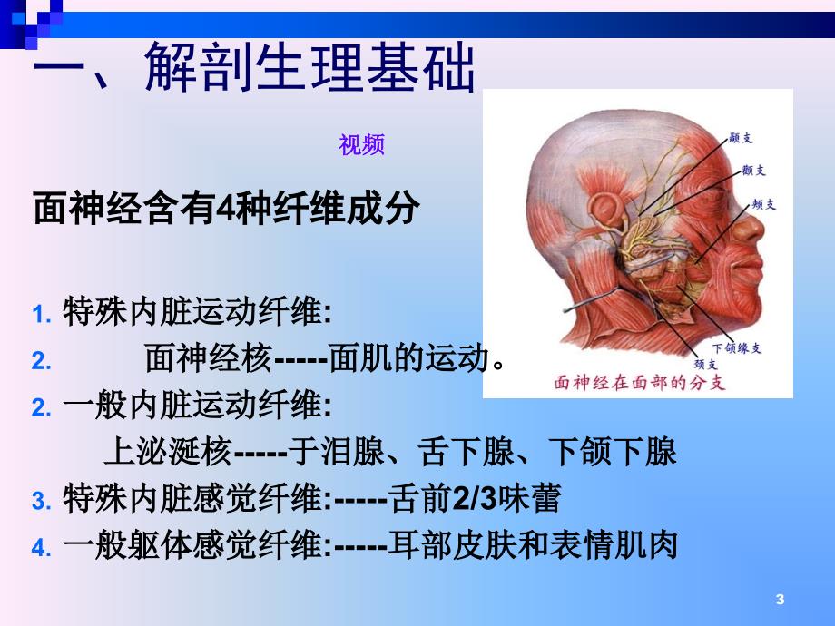 面神经第五章颅神经的定位诊断_第3页